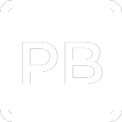 profbit logo białe